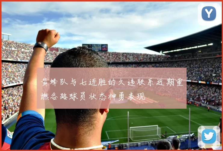 黄蜂队与七连胜的久违联系近期重燃各路球员状态神勇表现