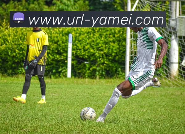 亚美体育服务体系